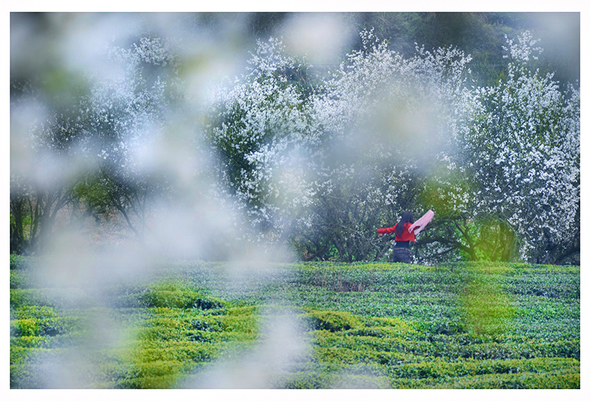 ������Ӱ (2).jpg