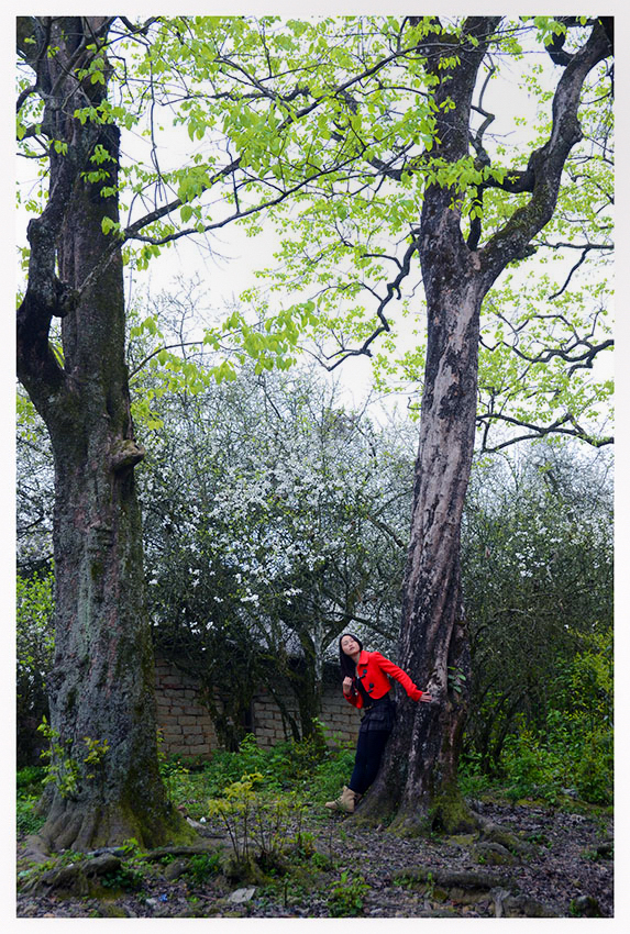 ������Ӱ (3).jpg