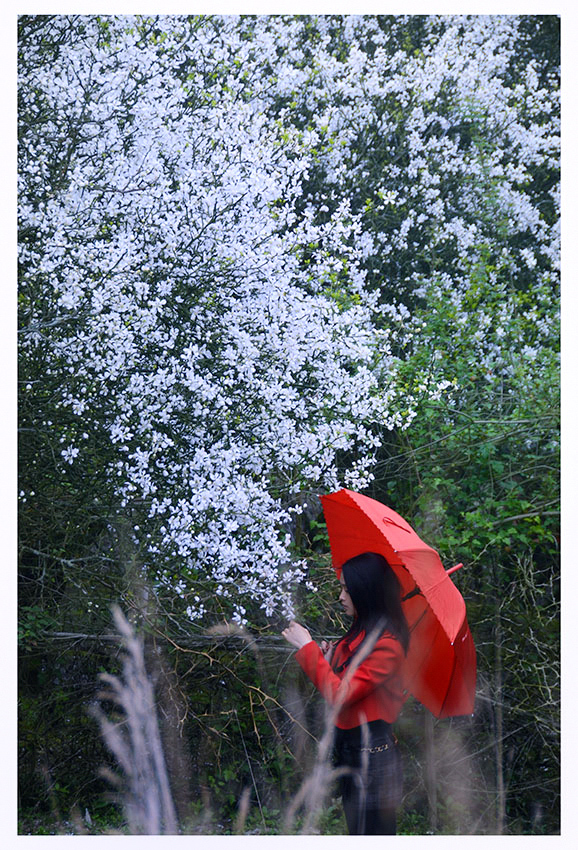 ������Ӱ (5).jpg