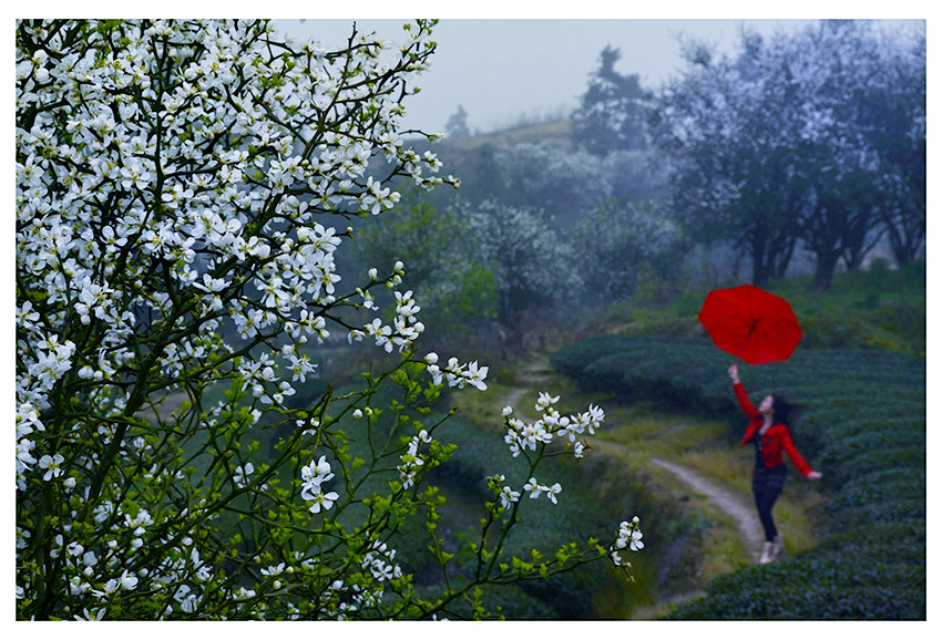 ������Ӱ (7).jpg