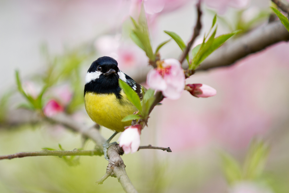 20130327-IMG_6944.jpg