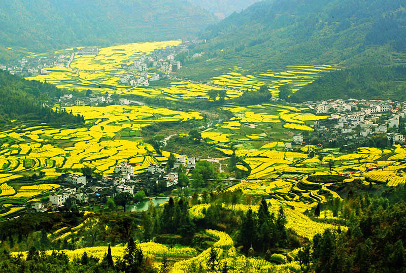 ��Դ��Ƭ (1).jpg