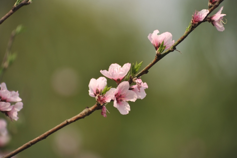 �����һ�