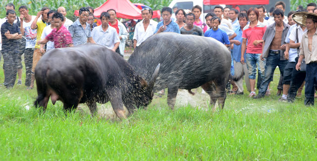 04 ���Ľ���.JPG