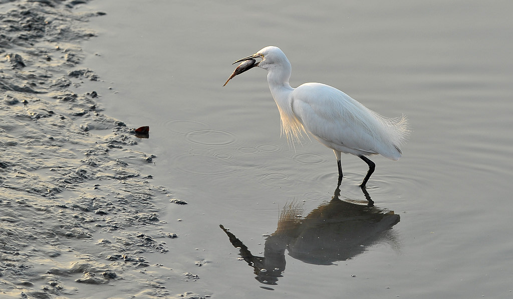 DSC_0315  1.jpg
