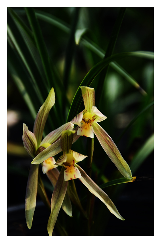 SZJ_2347 ����.jpg