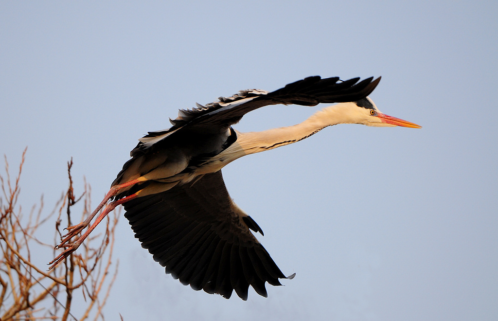 DSC_0206   3.jpg