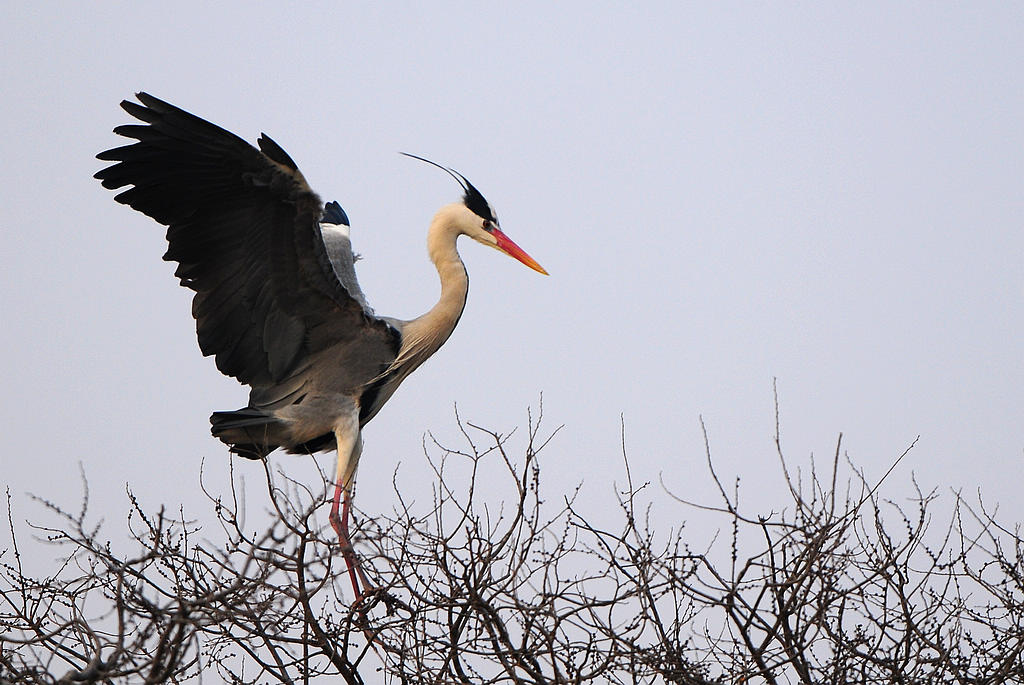 DSC_0395  5.jpg