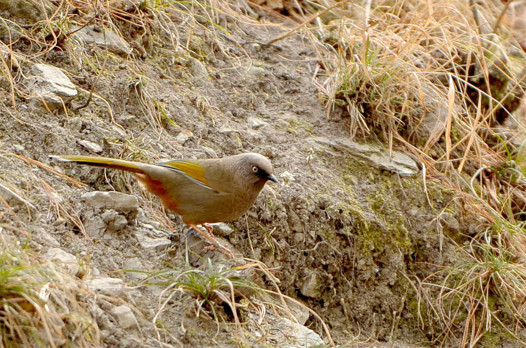DSC_6495  21.jpg