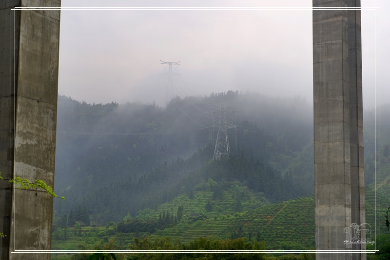 ���ż�����������