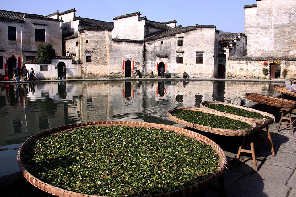 ���½�����Ƭ 263_����.jpg