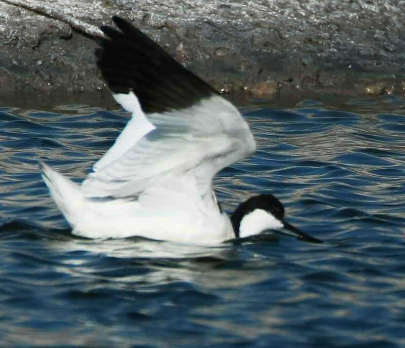 5C9J0319.jpg