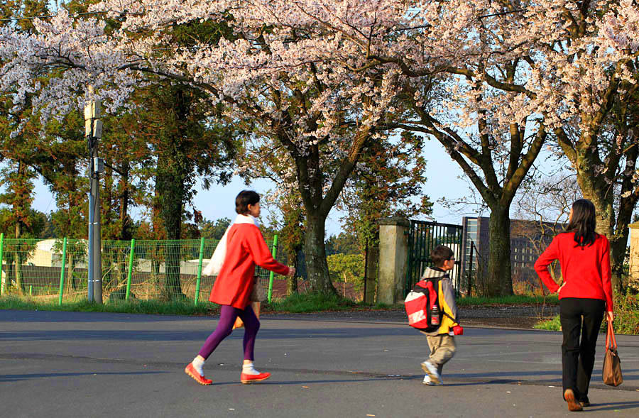 ������Ƭ (227)_����.jpg