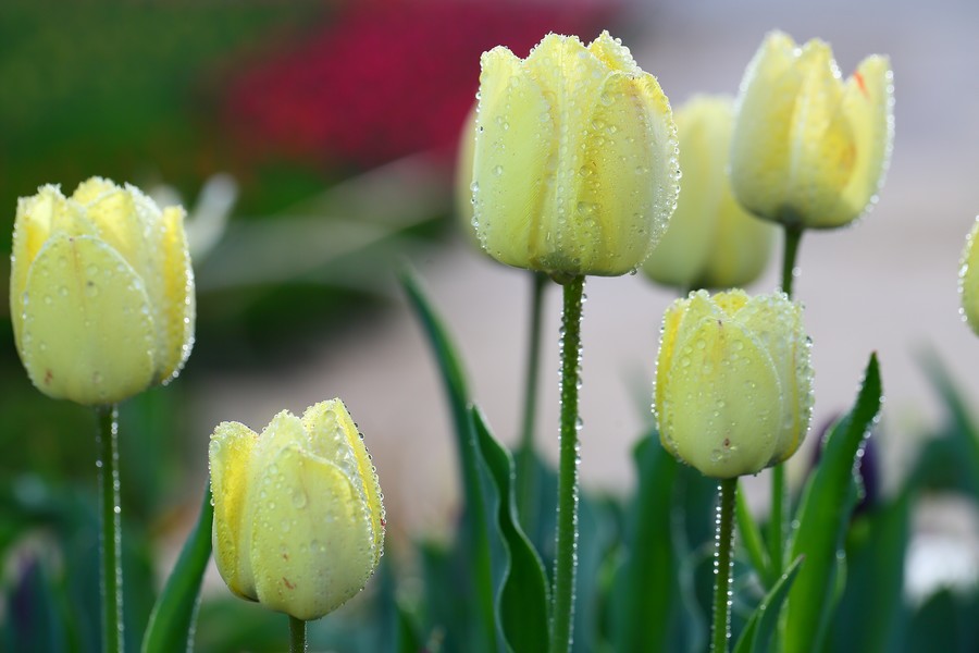 ������ (8).jpg