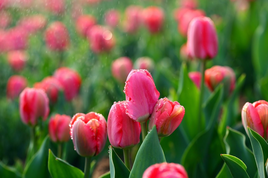 ������ (15).jpg