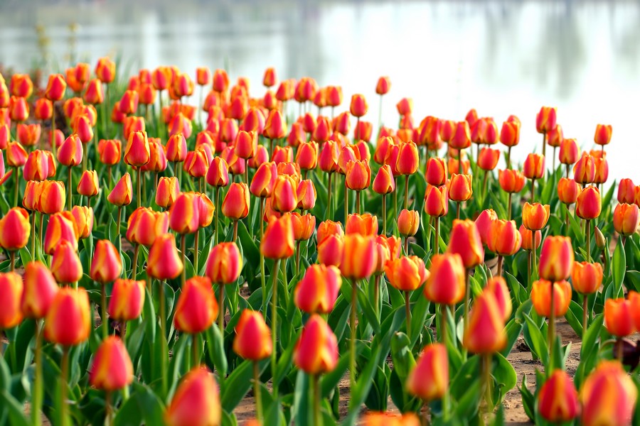 ������ (21).jpg