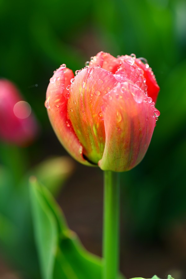 ������ (22).jpg