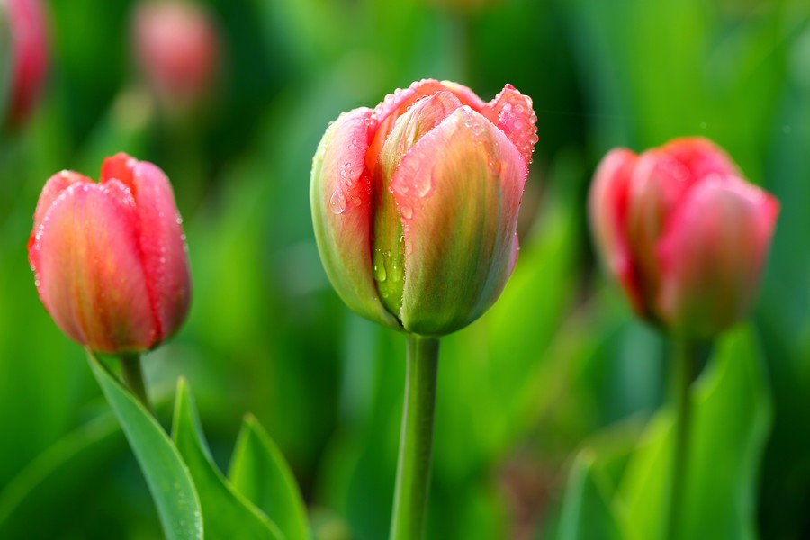 ������ (23).jpg