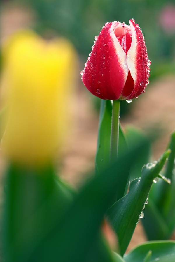 ������ (25).jpg