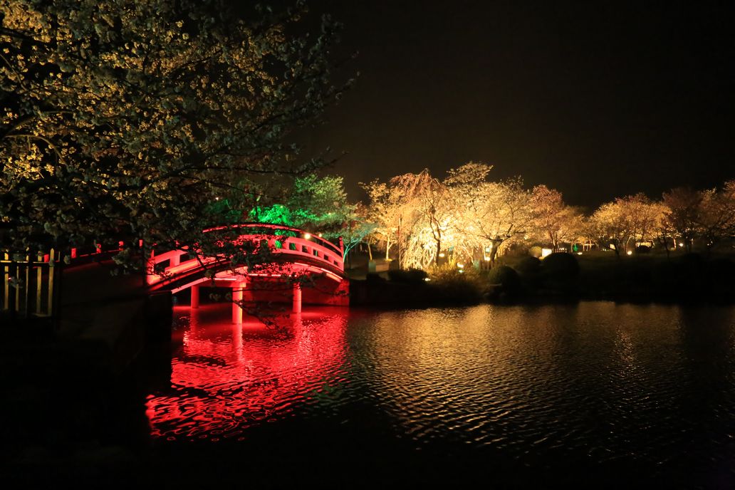 ӣ������