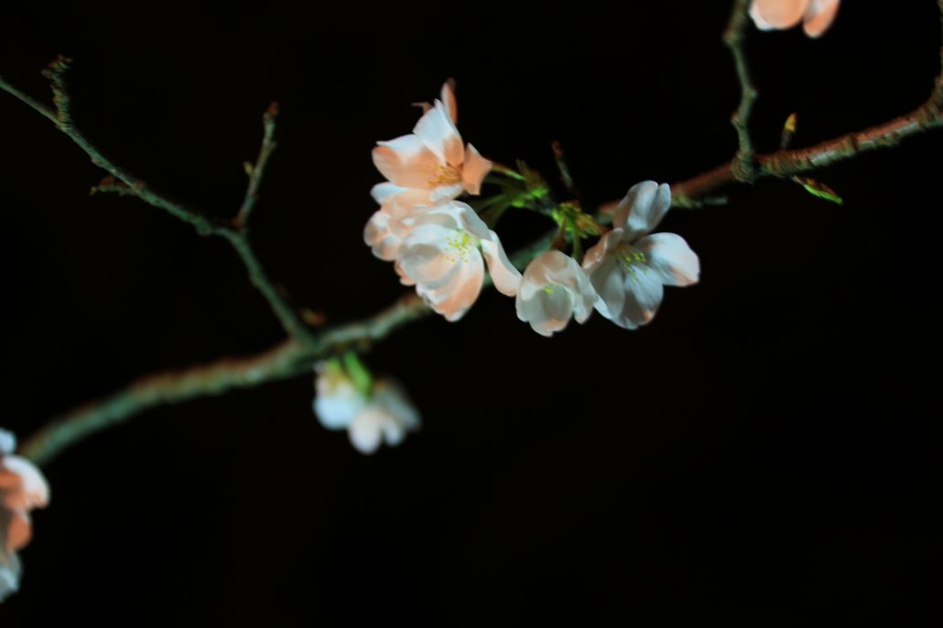 ӣ������