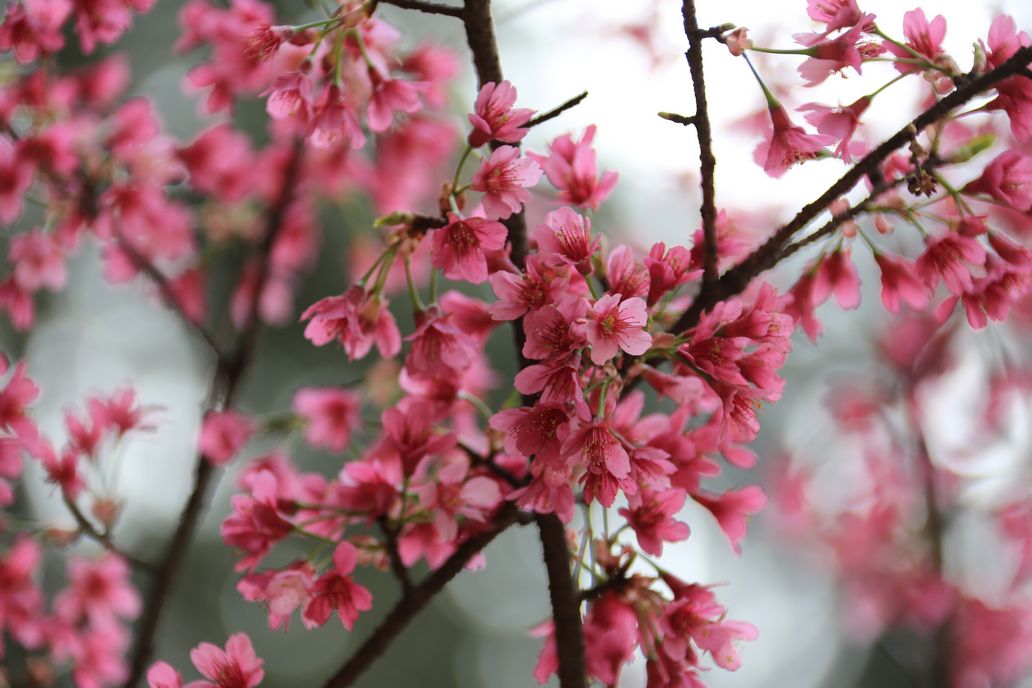 ӣ������