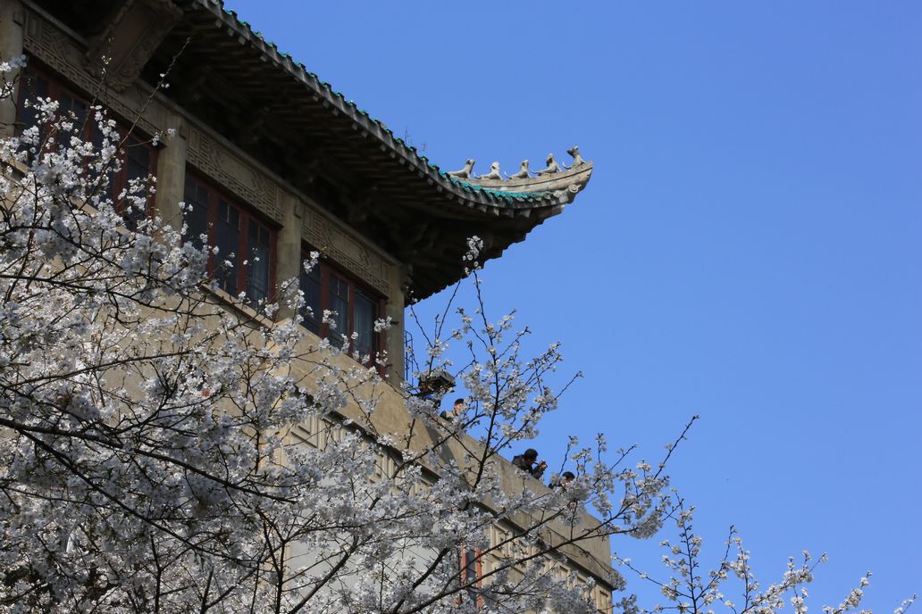 ӣ������