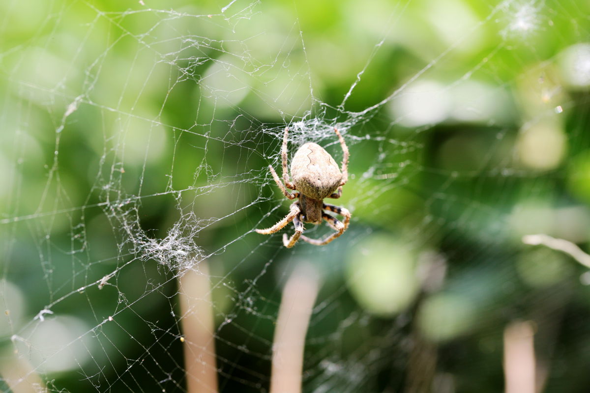 �������������