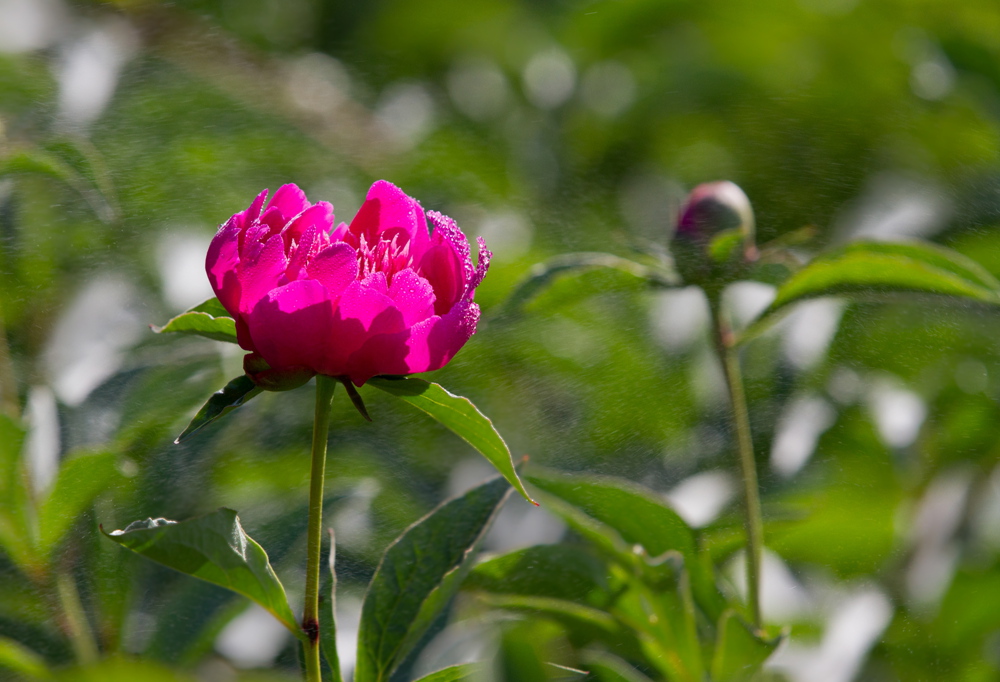 δ���� (11 - 33)_����.jpg