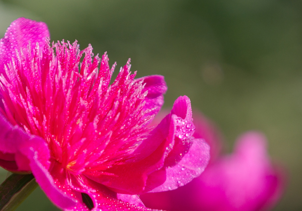 δ���� (12 - 33)_����.jpg