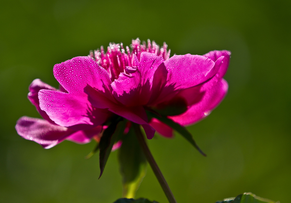 δ���� (14 - 33)_����.jpg