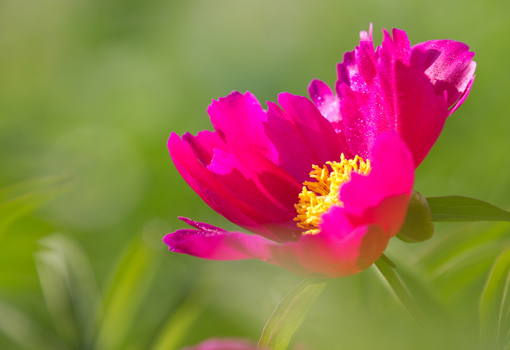 δ���� (16 - 33)_����.jpg