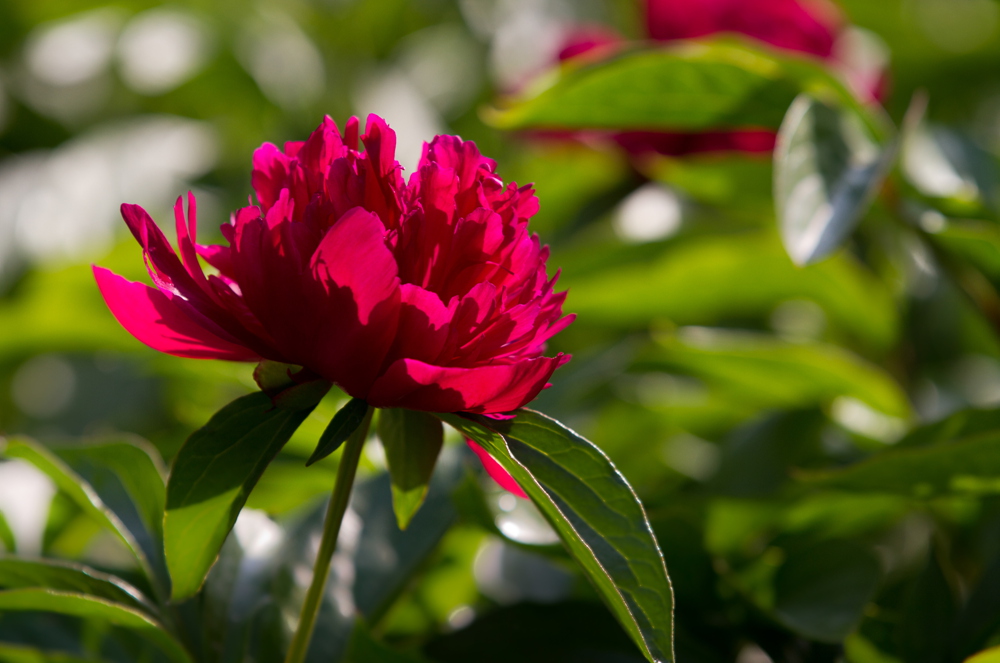 δ���� (18 - 33)_����.jpg