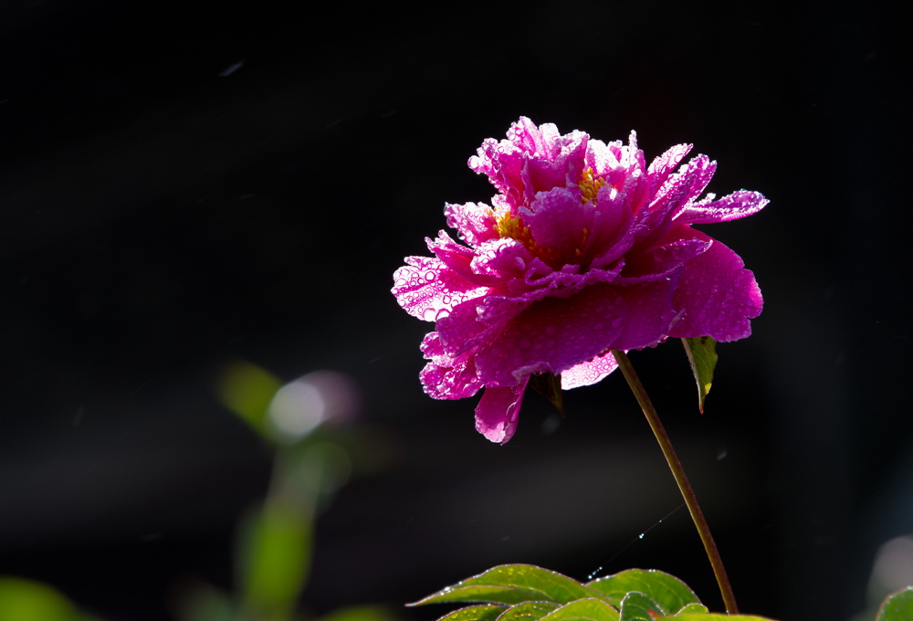 δ���� (19 - 33)_����.jpg