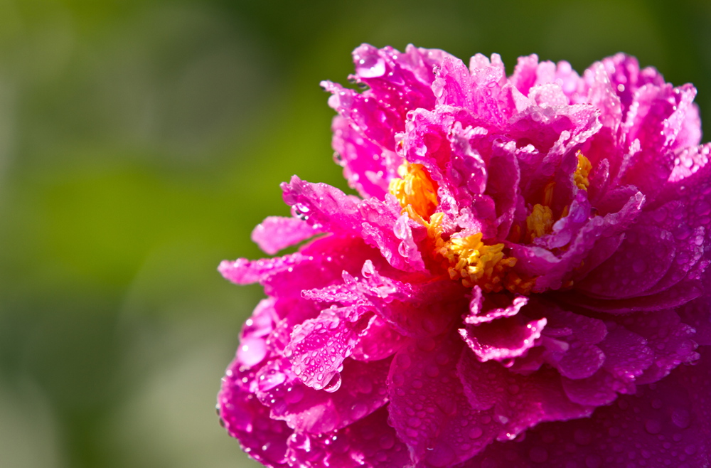 δ���� (20 - 33)_����.jpg