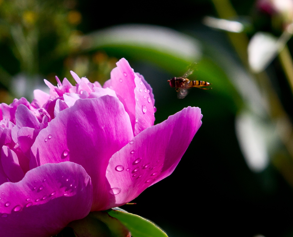 δ���� (22 - 33)_����.jpg