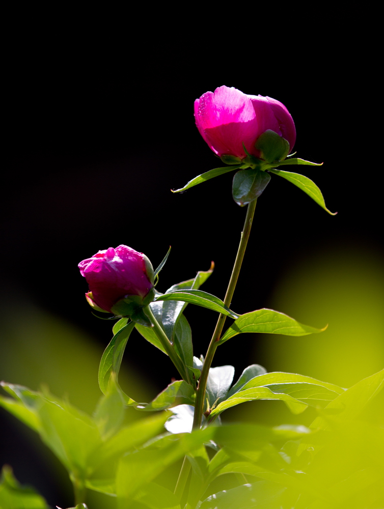 δ���� (43 - 45)_����.jpg