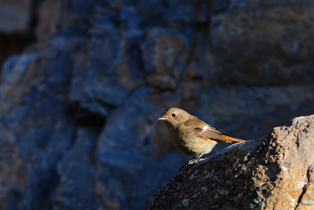 DSC_0149   3.jpg