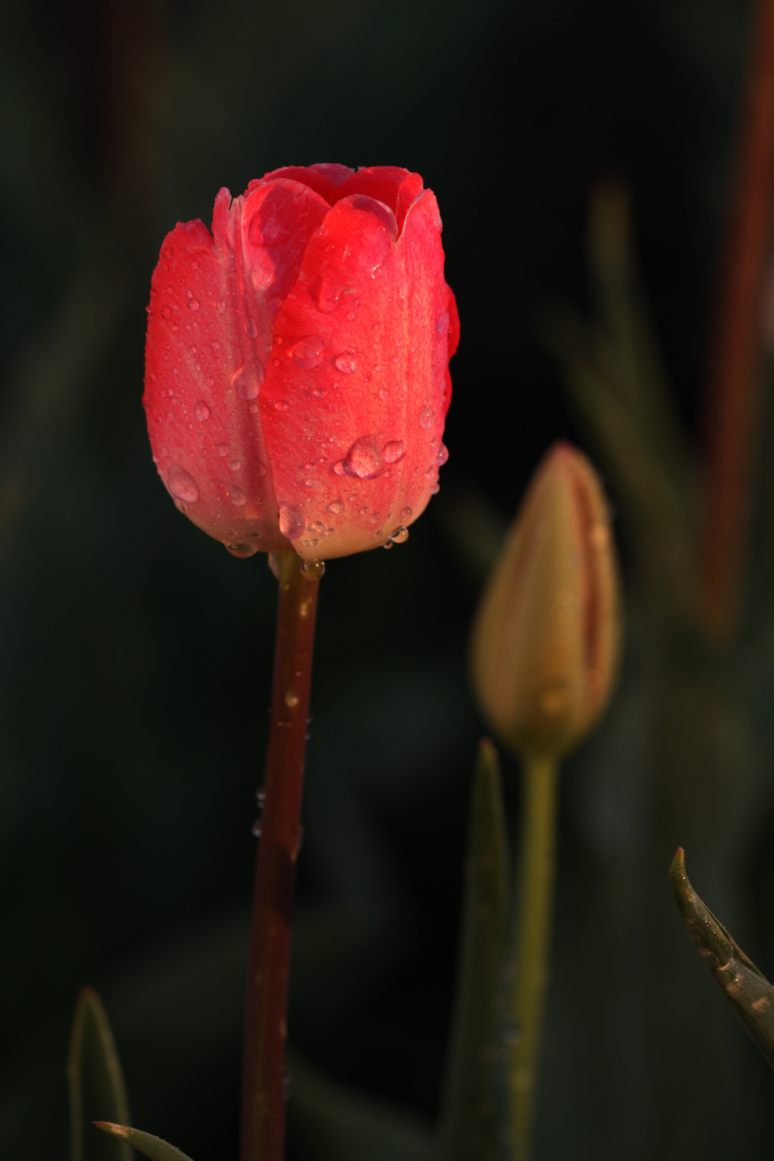 ����֪��,����ֽ����