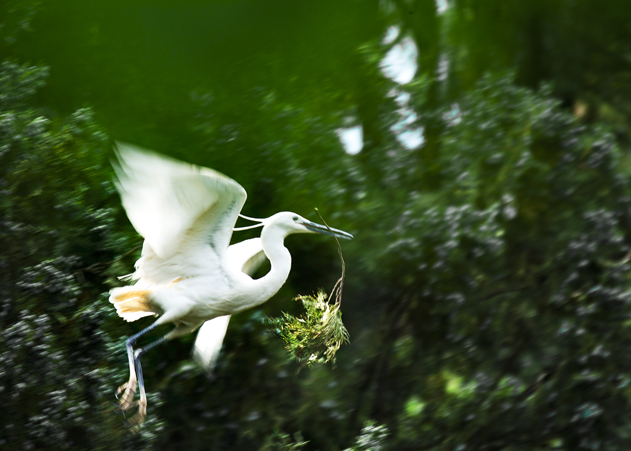 _FFF9940 ����.jpg