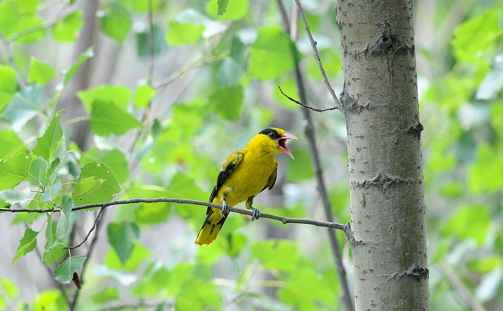DSC_0105   1.jpg