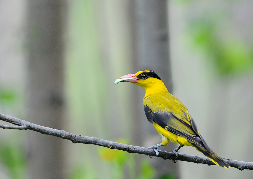 DSC_0349  4.jpg
