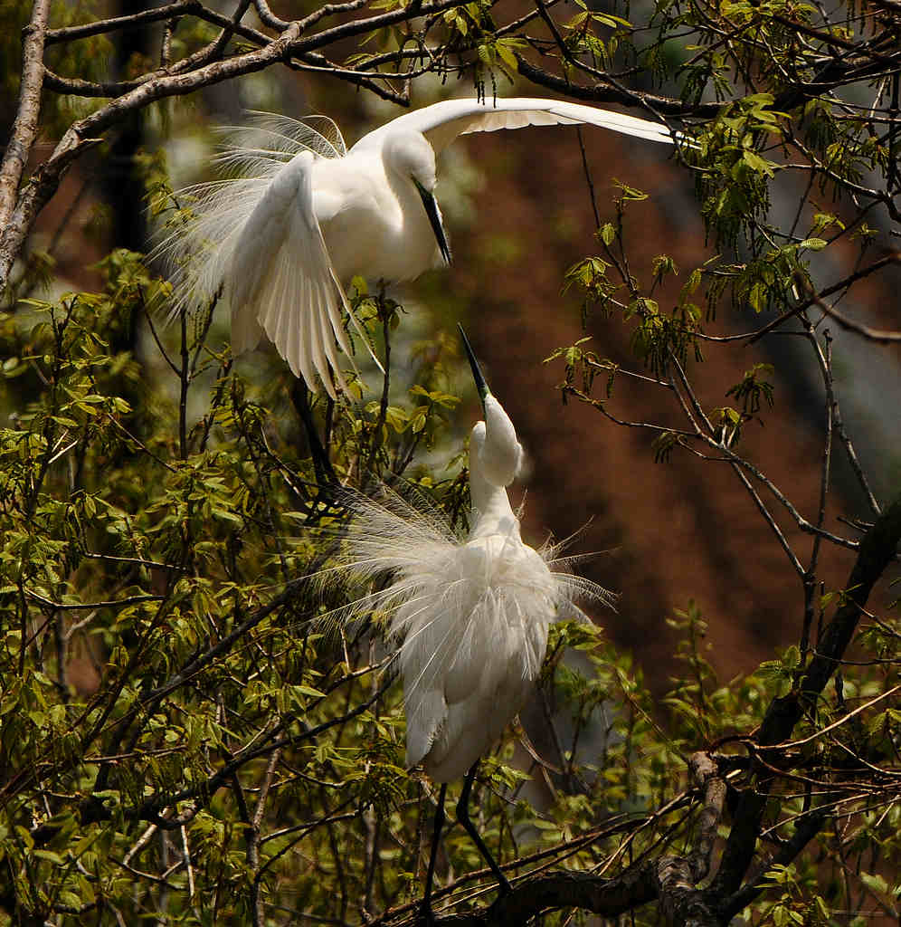 DSC_0338  2.jpg