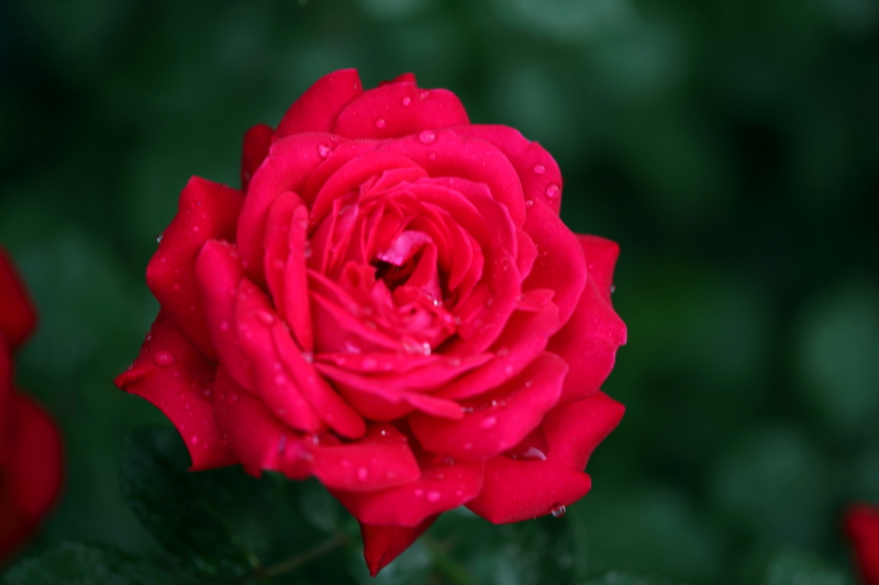 ALAL0421.JPG