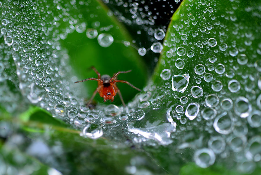 DSC_5442 ����.jpg