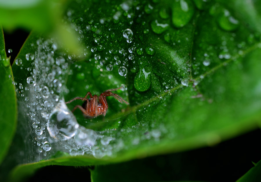 DSC_5444 ����.jpg