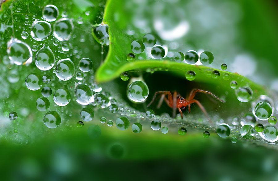 DSC_5447 ����.jpg