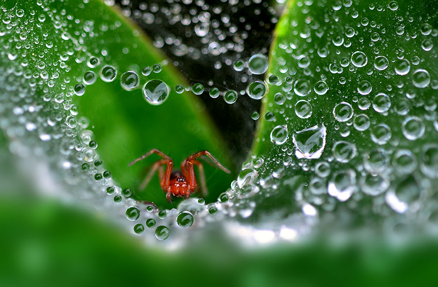 DSC_5451 ����.jpg