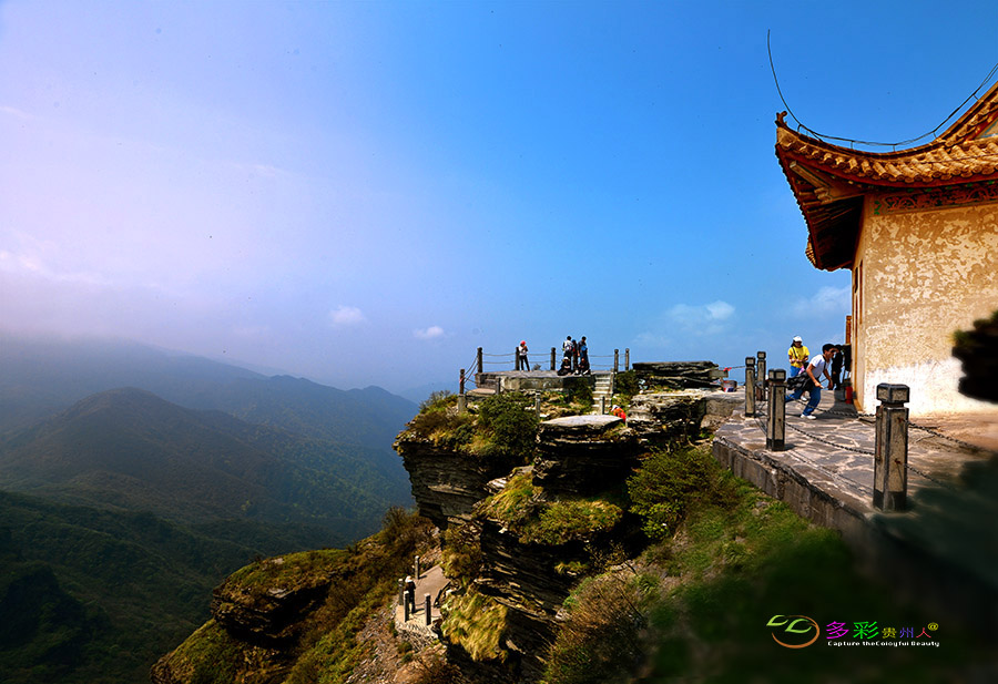 DSC_6204 ����.jpg