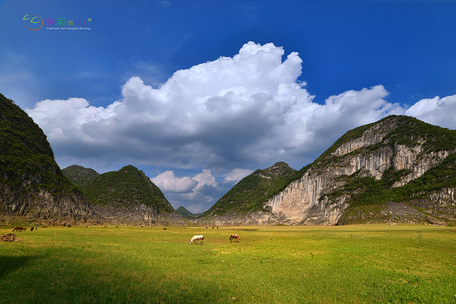 DSC_8974 ����.jpg